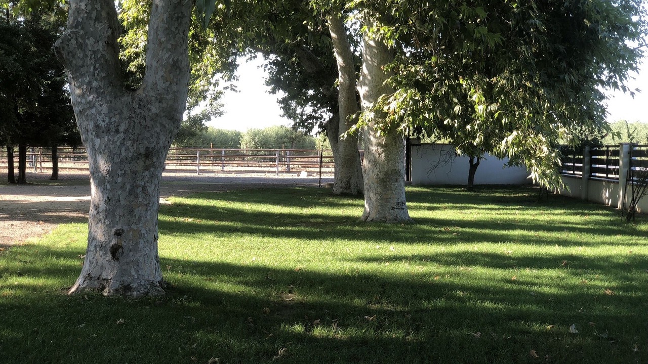 Photo of Outdoor in Rosedale