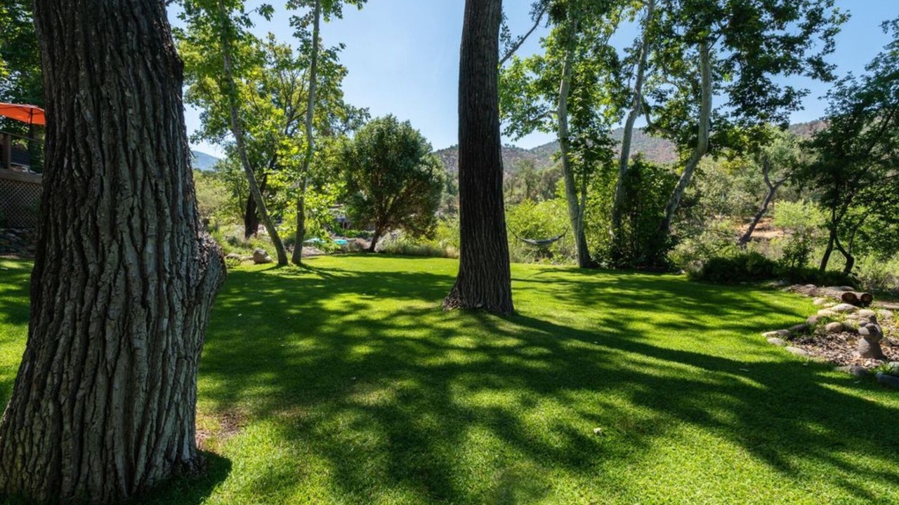 Photo of Outdoor in Three Rivers
