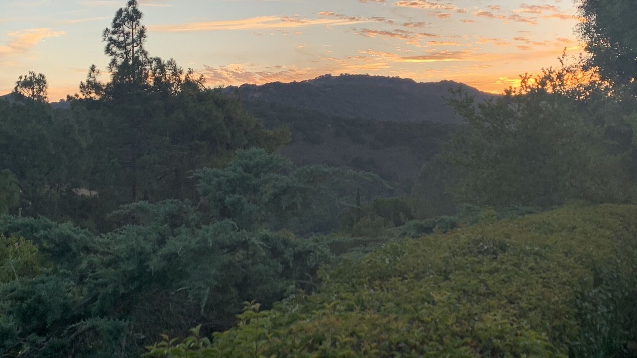 Photo of Outdoor in Carmel Valley