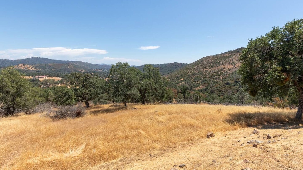 Photo of Outdoor in Mariposa
