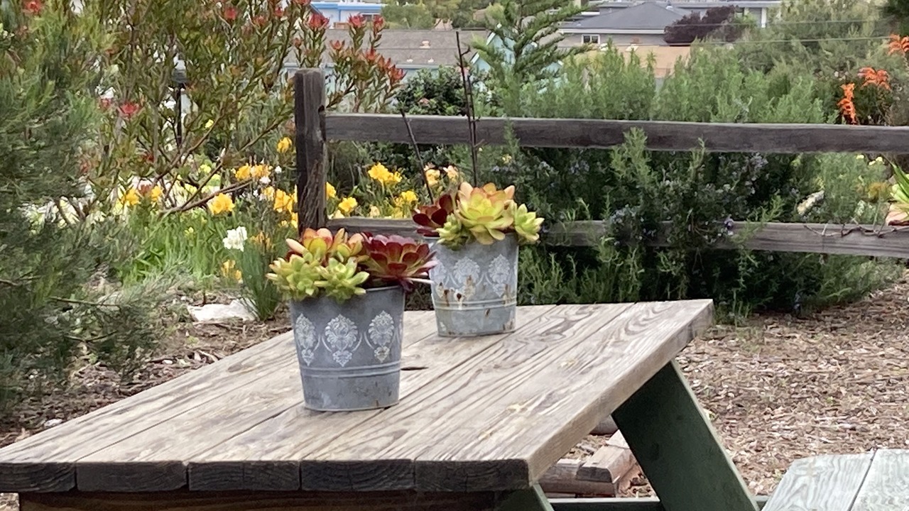 Photo of Outdoor in Baywood-Los Osos