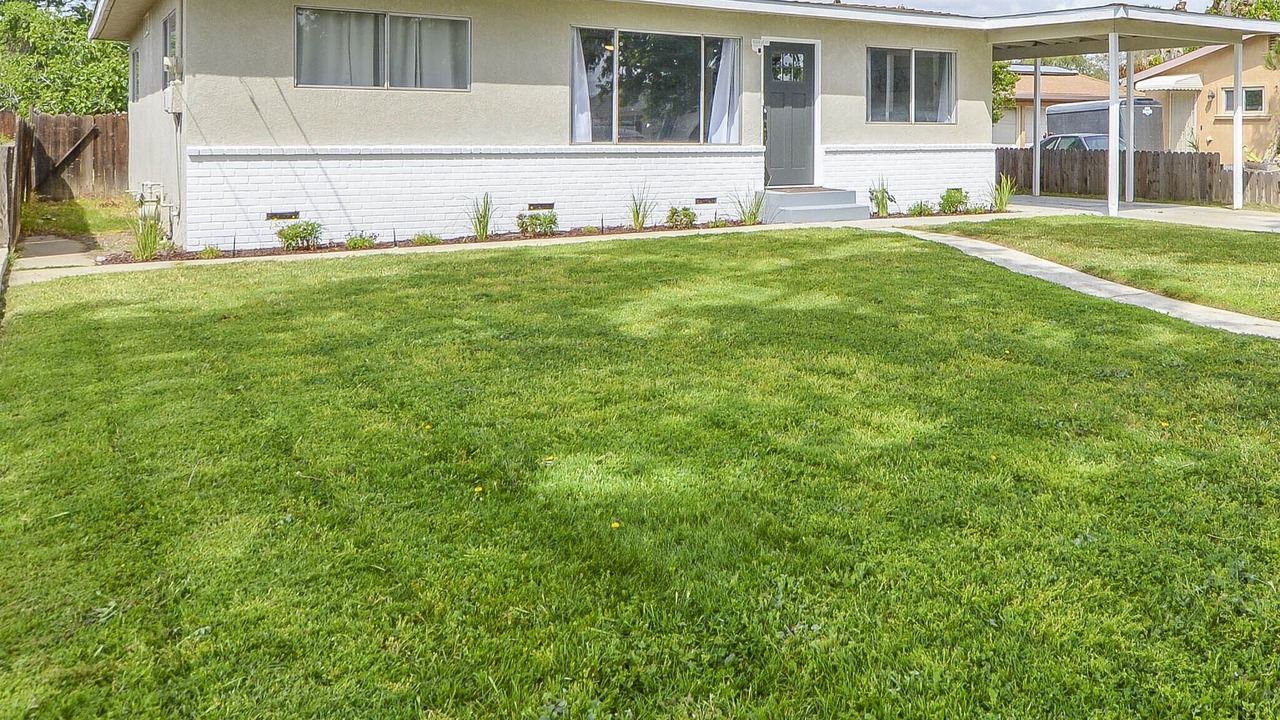 Photo of Outdoor in Los Banos