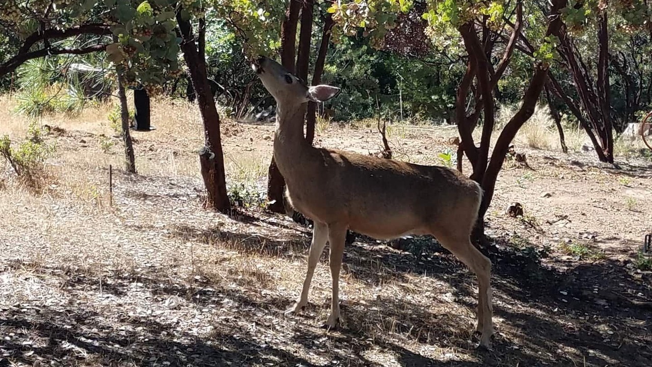 Photo of Others in Groveland