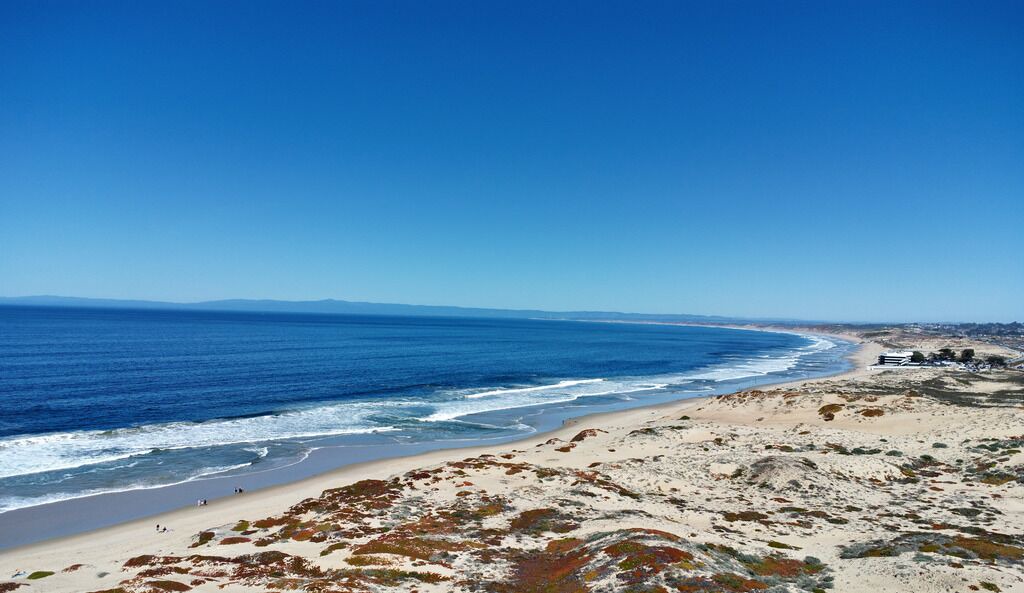 Photo of Others in Monterey