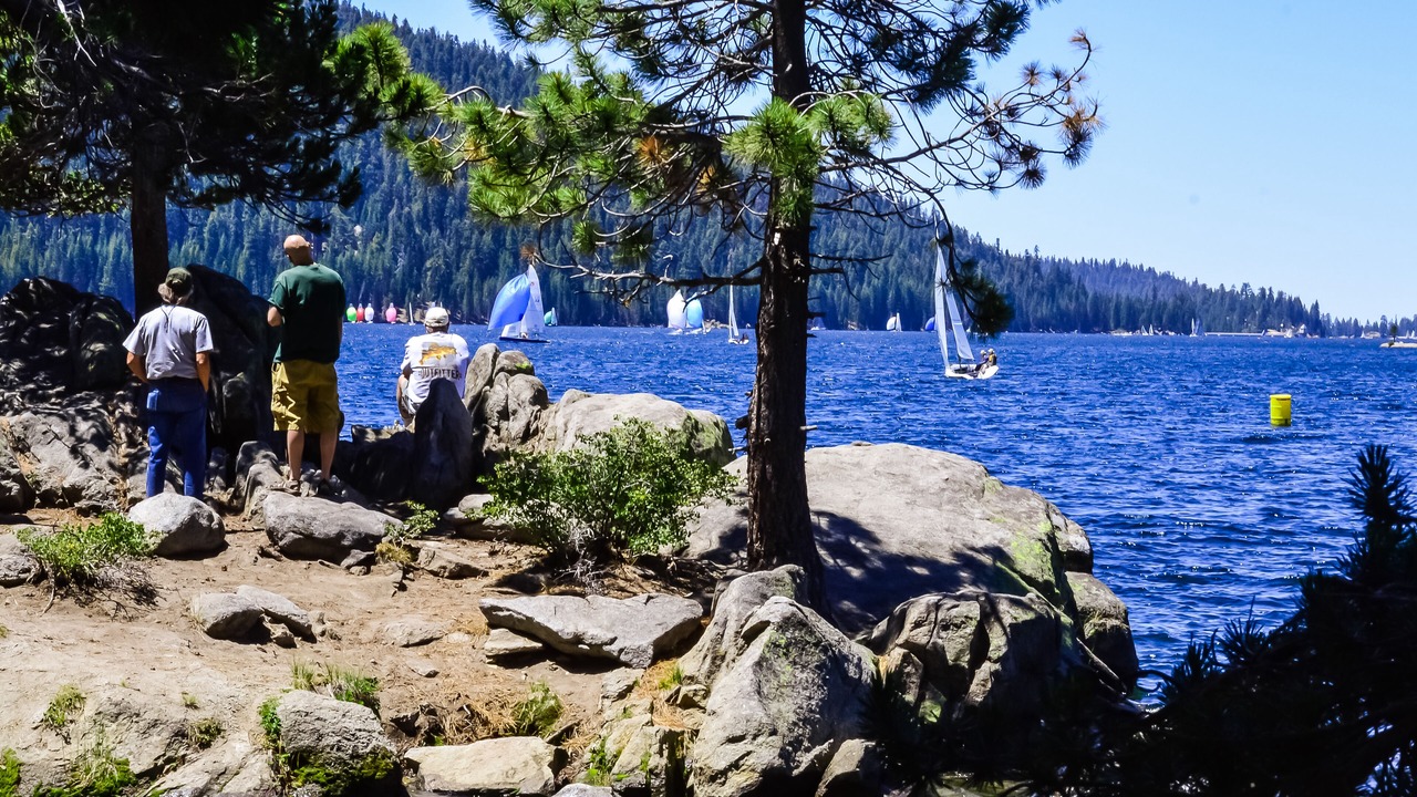 Photo of Others in Lakeshore