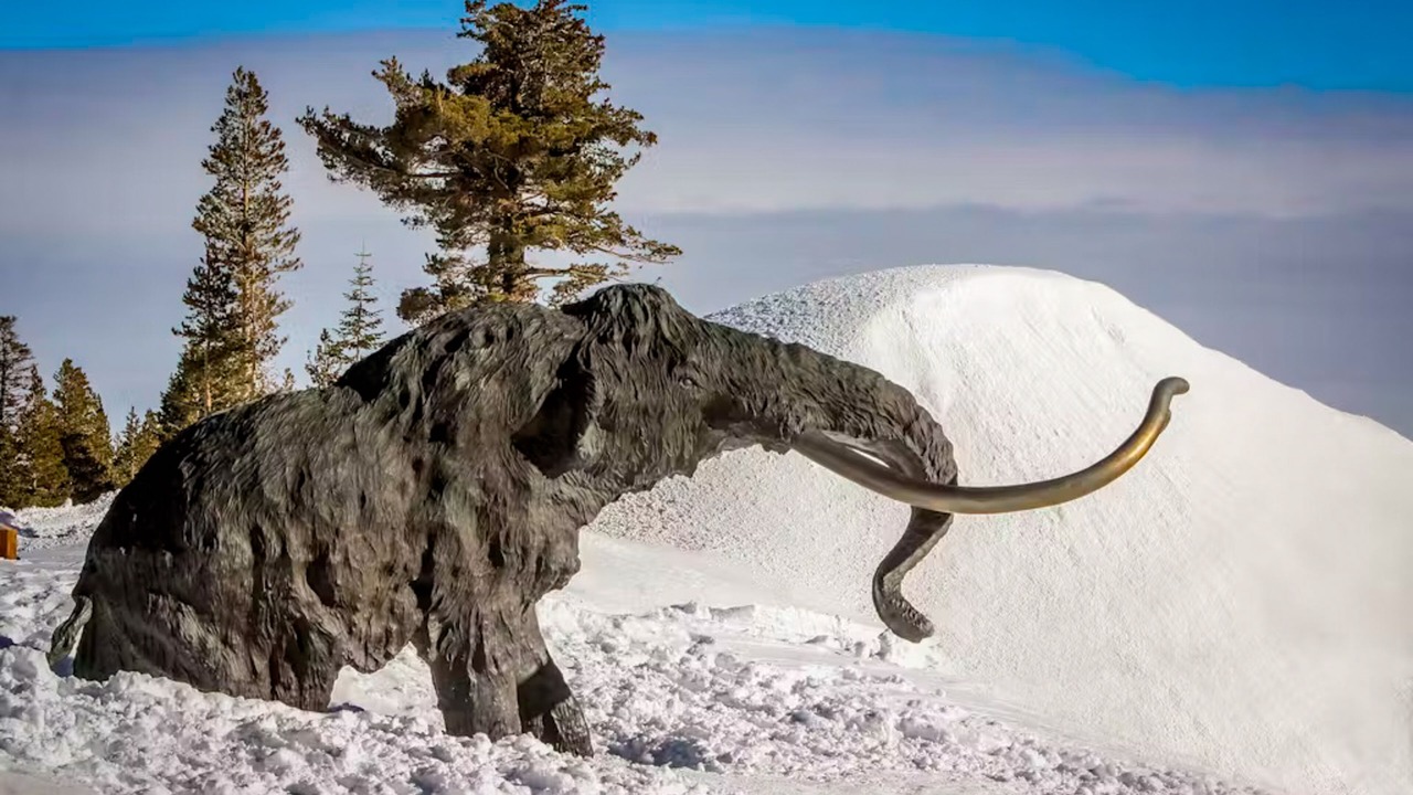 Photo of Others in Mammoth Lakes