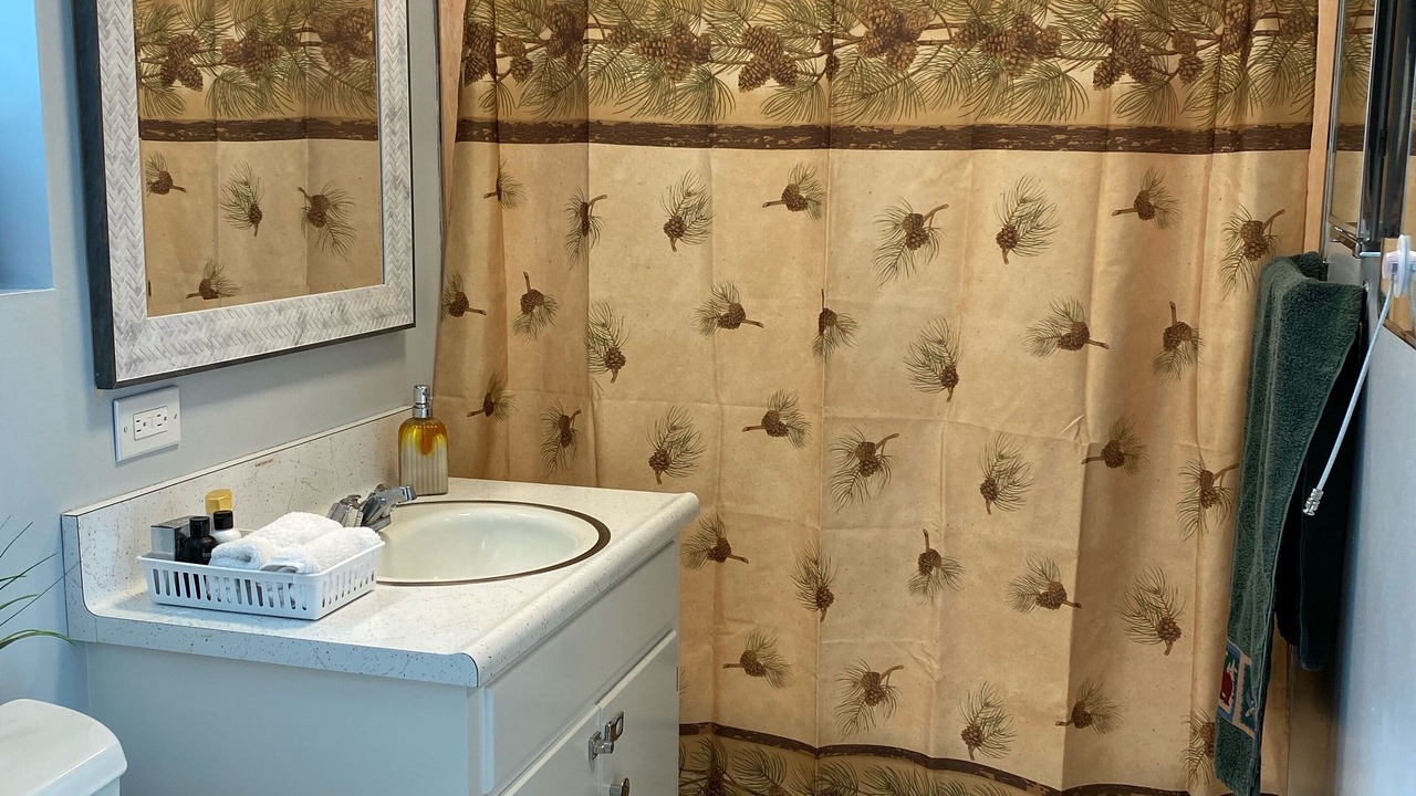 Photo of Bathroom in Strawberry