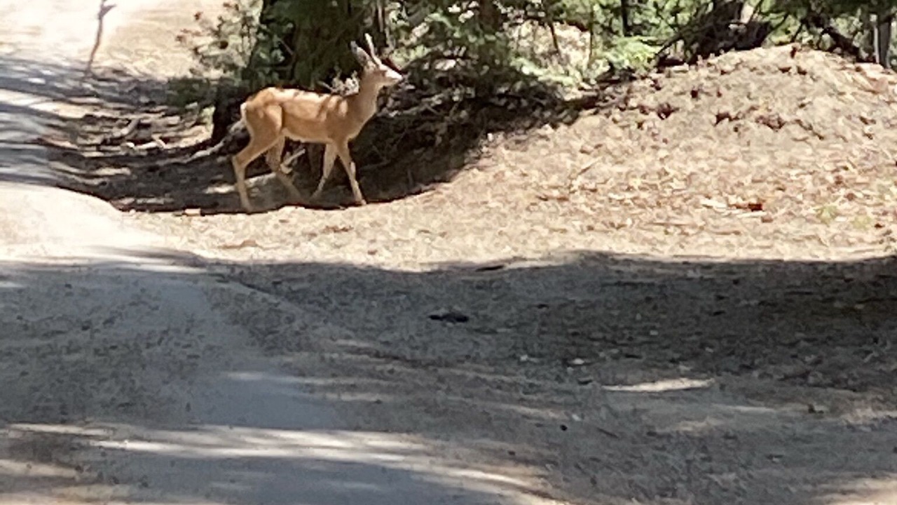 Photo of Outdoor in Posey