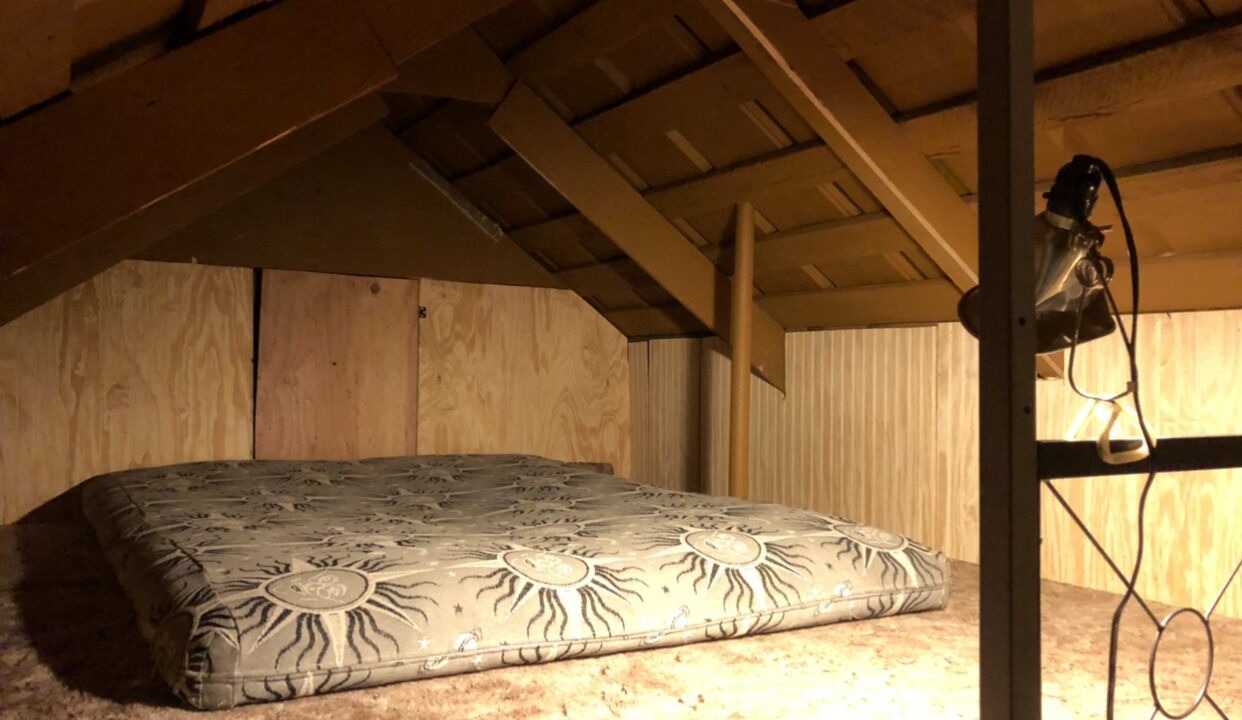 Photo of Bedroom in Big Creek