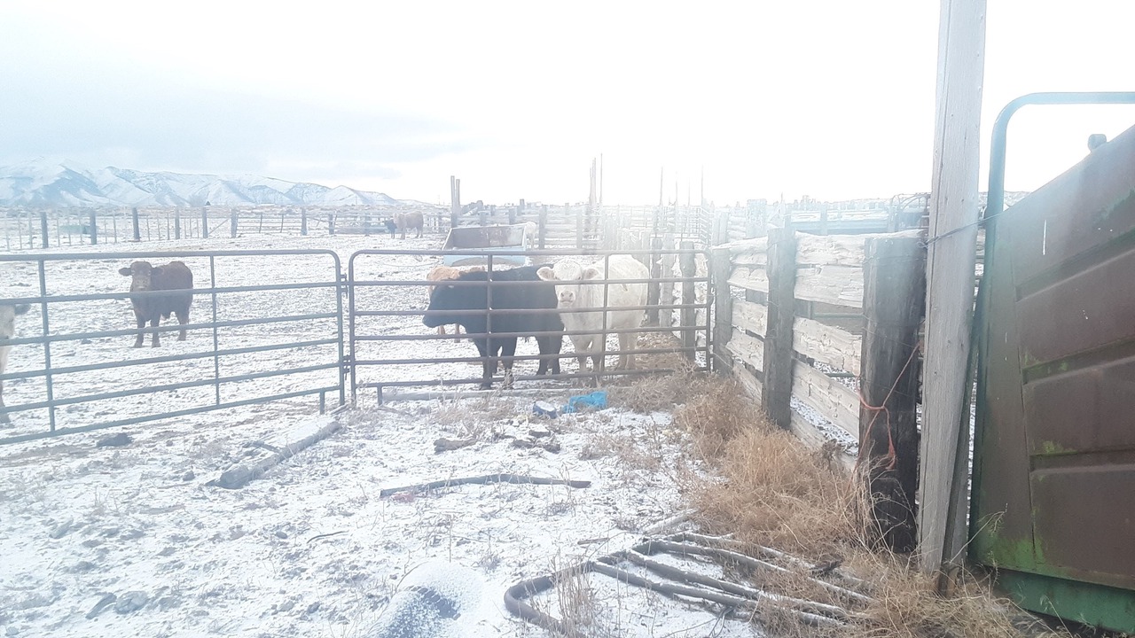 Photo of Outdoor in Winnemucca