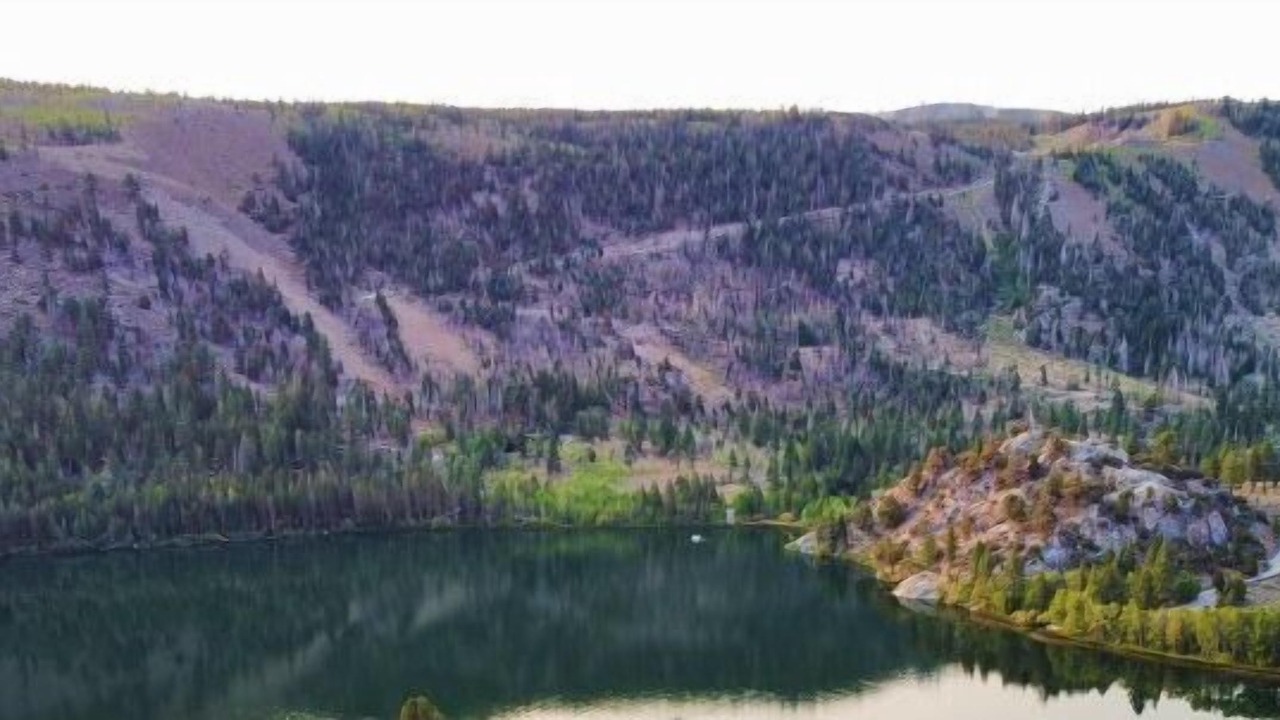 Photo of Others in June Lake