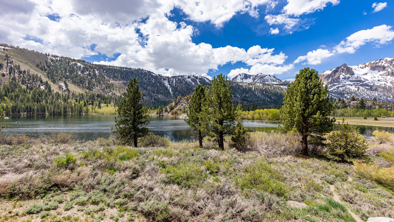 Photo of Others in June Lake