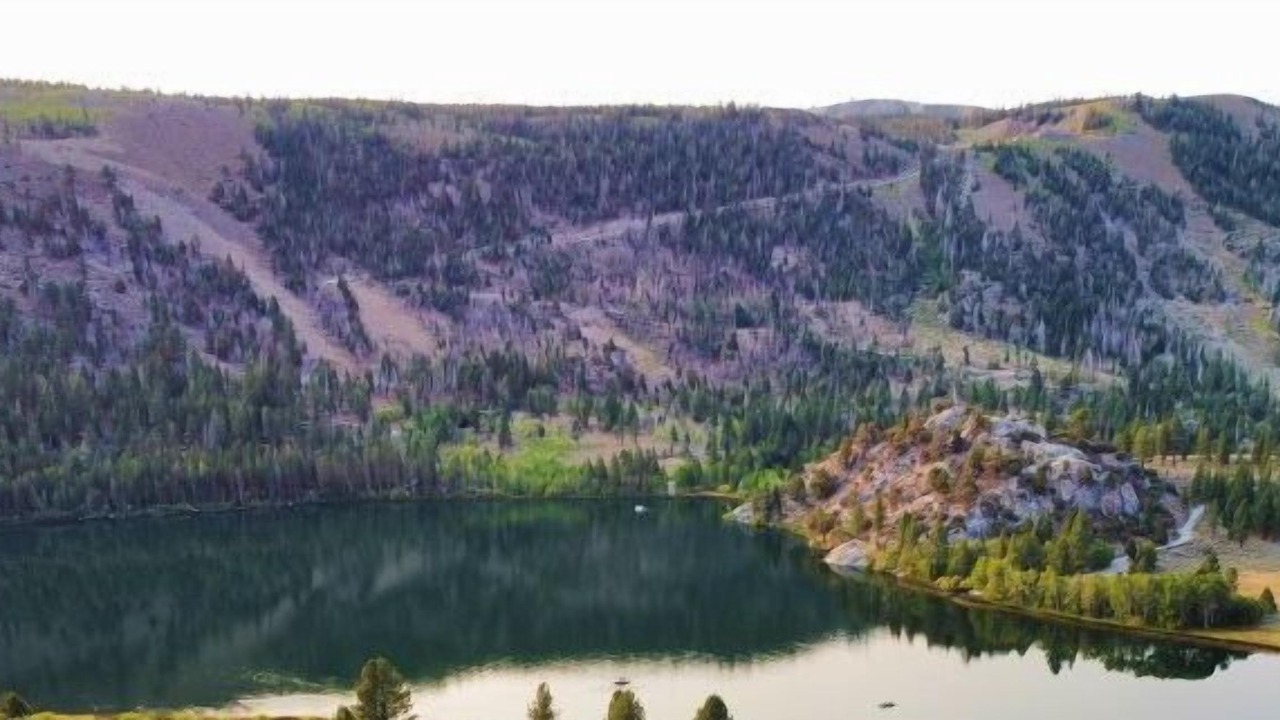 Photo of Others in June Lake