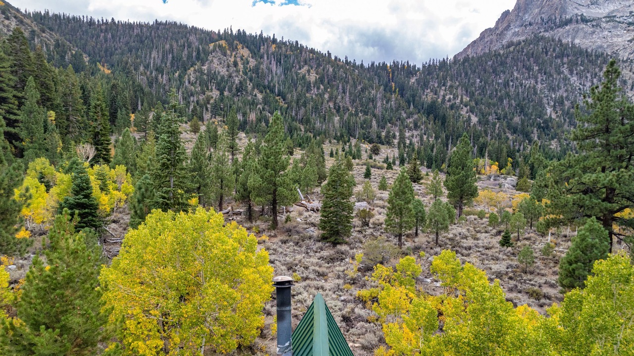 Photo of Others in June Lake