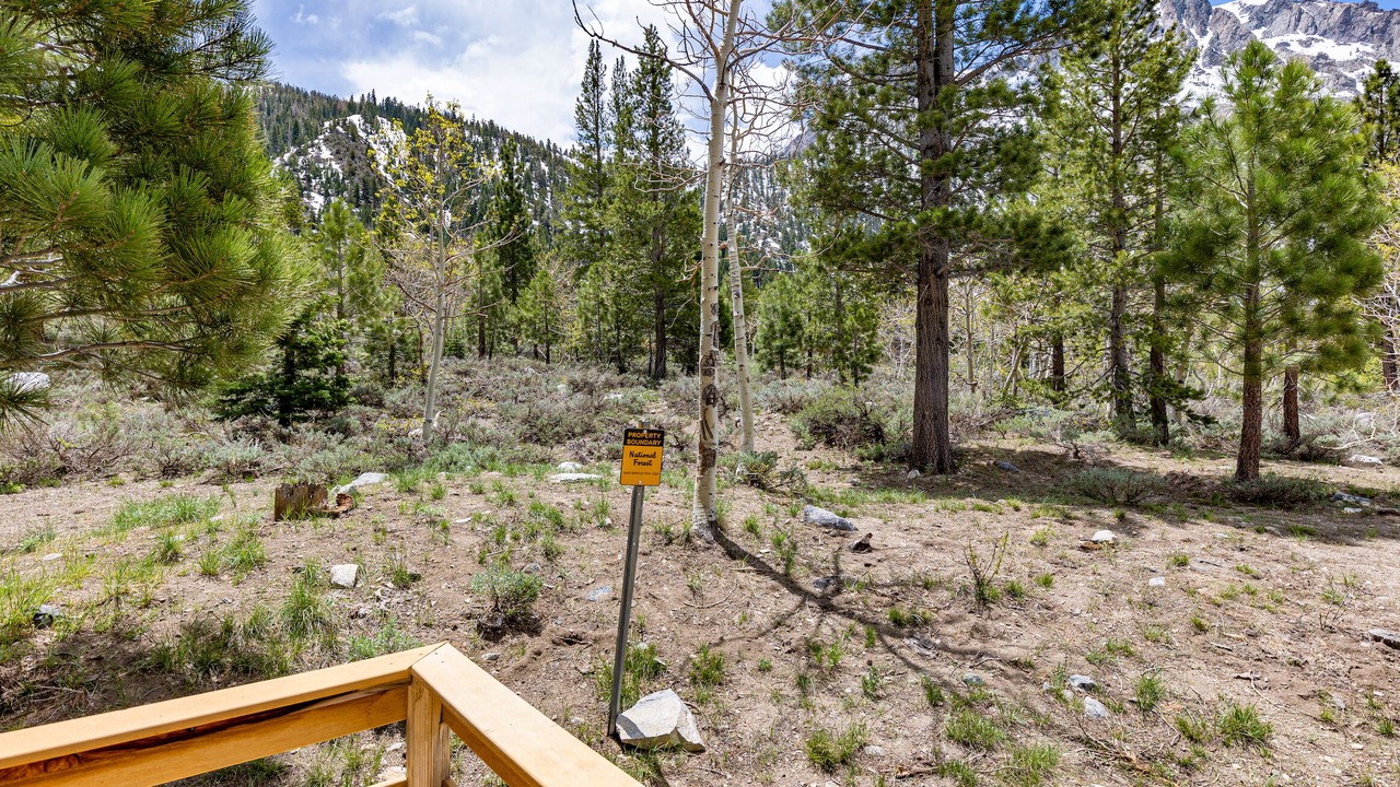 Photo of Others in June Lake