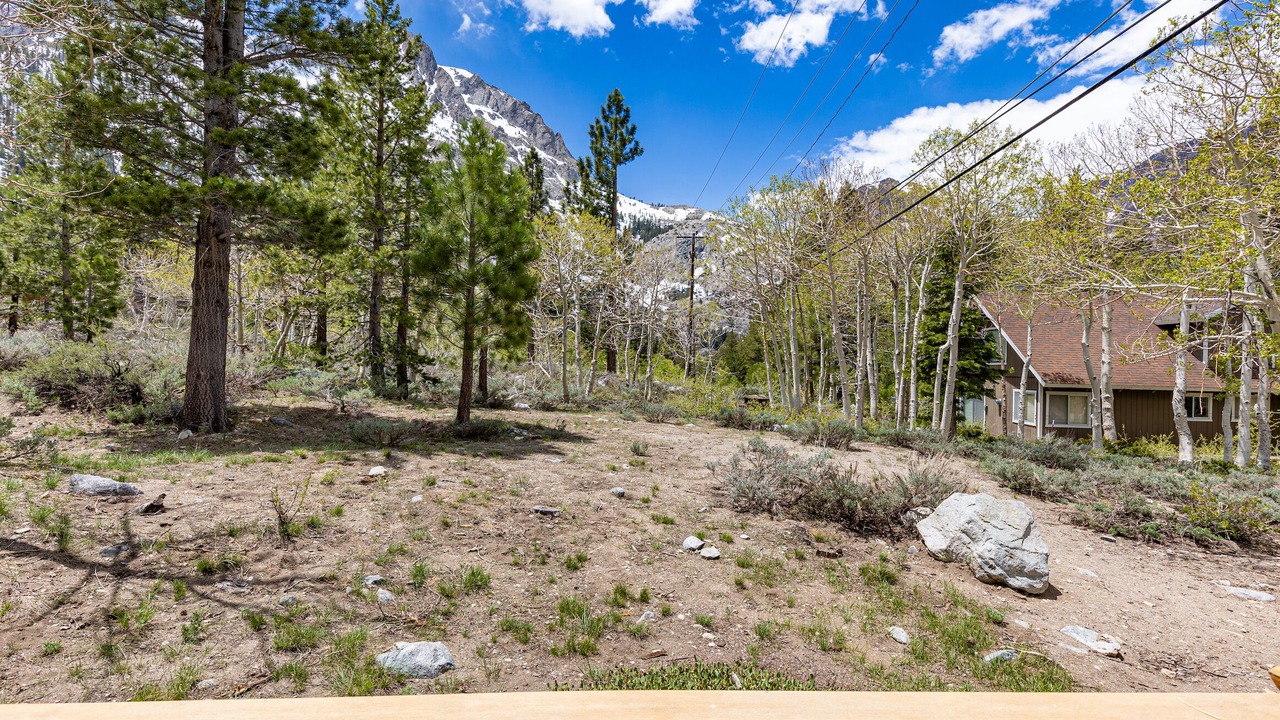 Photo of Others in June Lake
