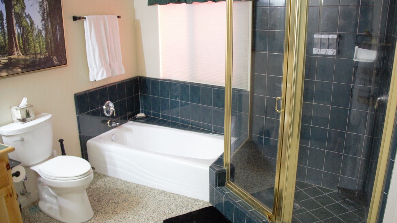 Photo of Bathroom in Shaver Lake