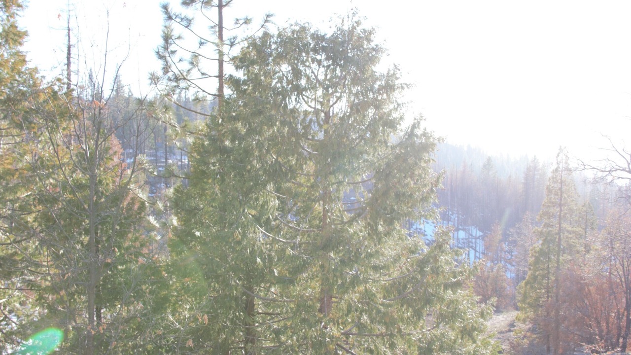 Photo of Outdoor in Shaver Lake