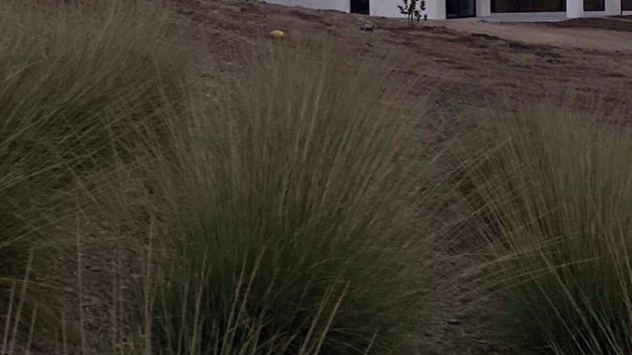 Photo of Outdoor in Templeton