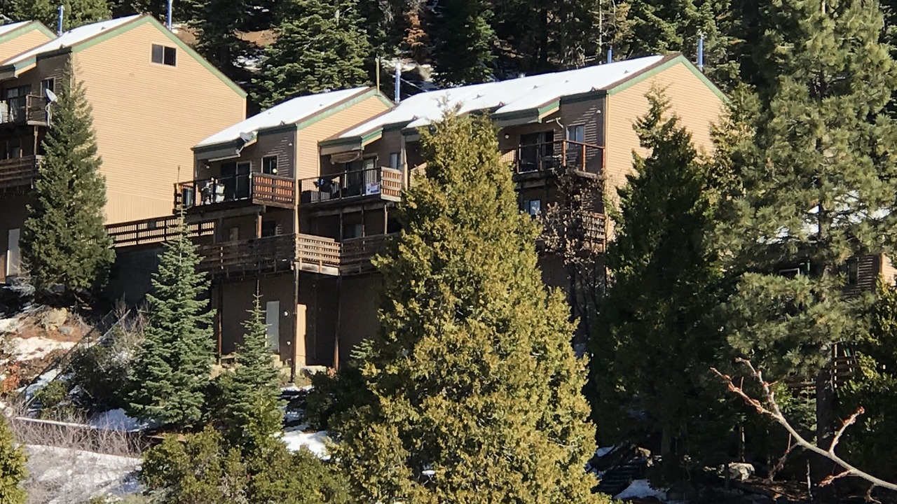 Photo of Outdoor in Pinecrest