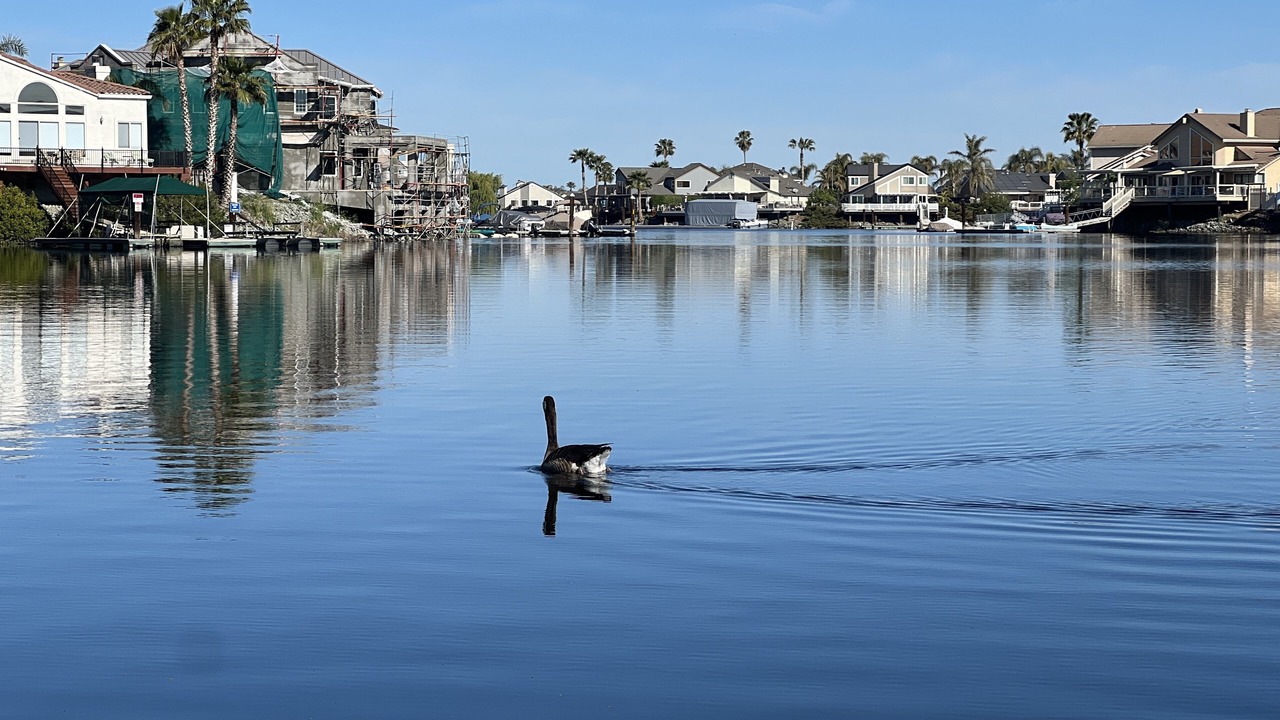 Photo of Others in Discovery Bay