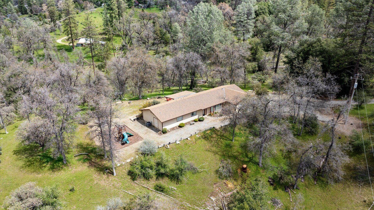 Photo of Others in Yosemite Forks