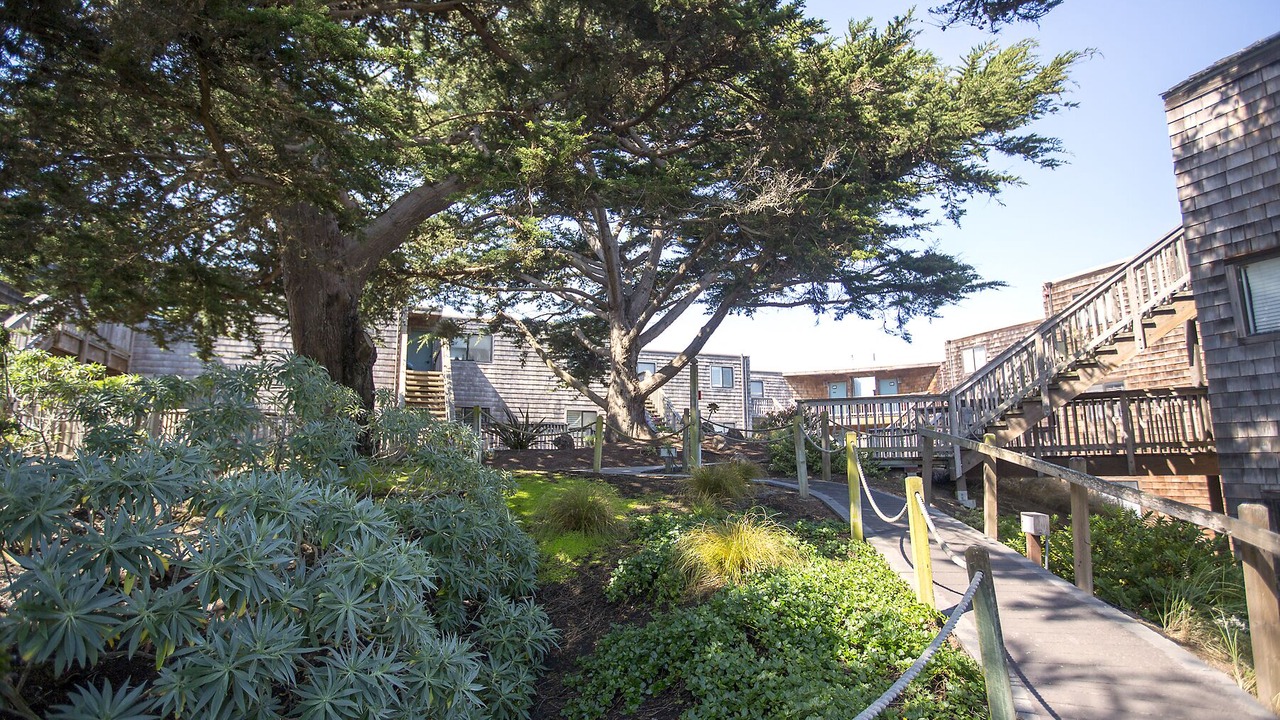 Photo of Outdoor in La Selva Beach