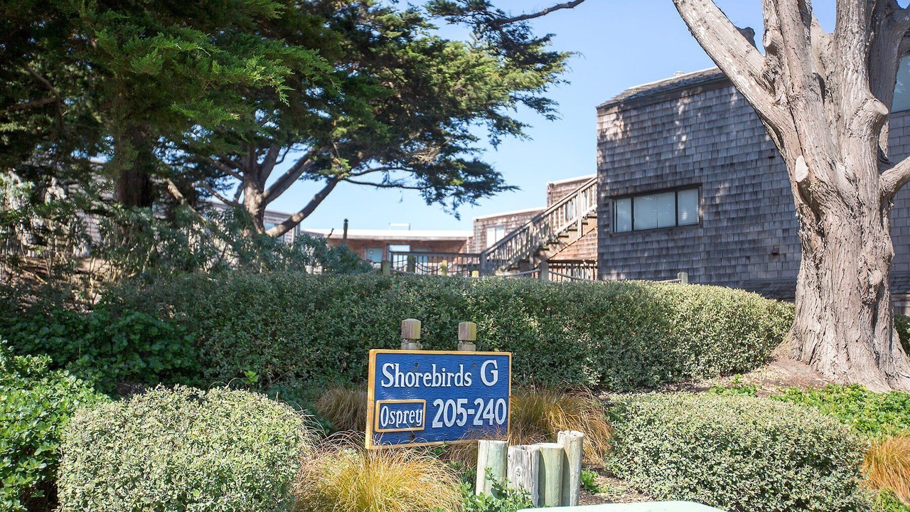 Photo of Outdoor in La Selva Beach