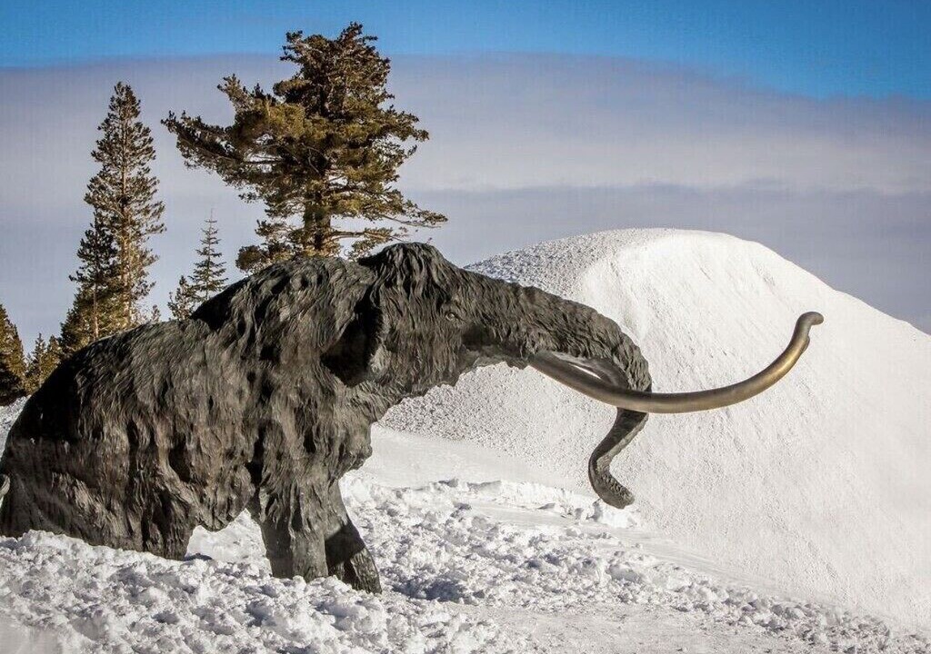 Photo of Others in Mammoth Lakes