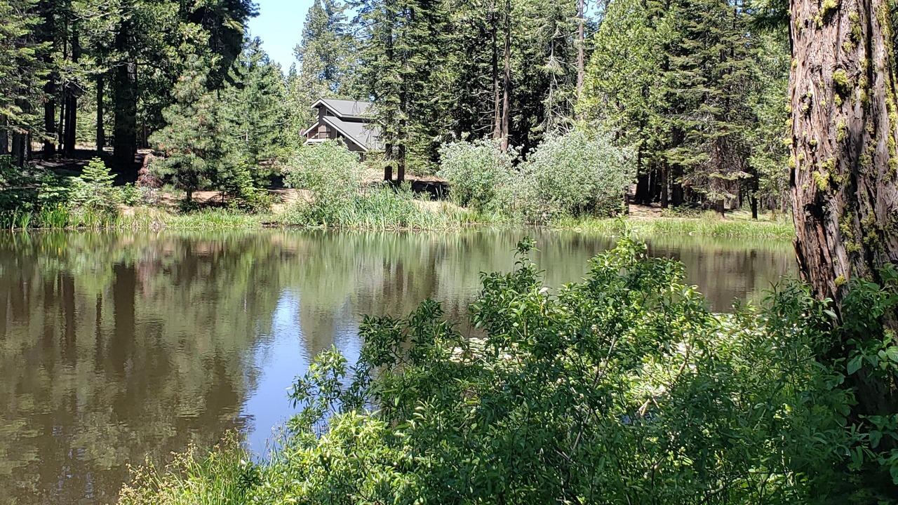 Photo of Outdoor in Shaver Lake