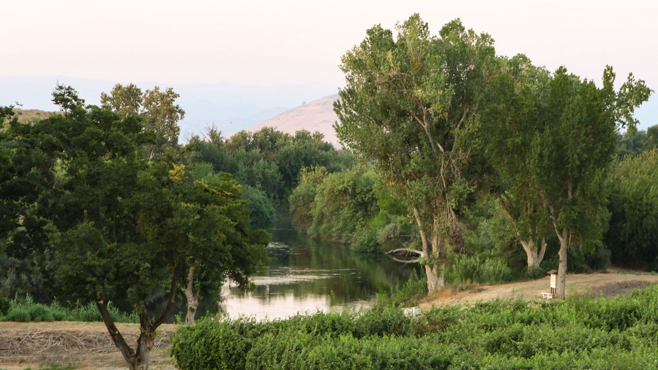 Photo of Outdoor in Raisin