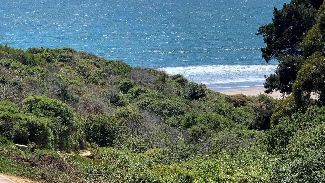 Photo of Others in Rio del Mar