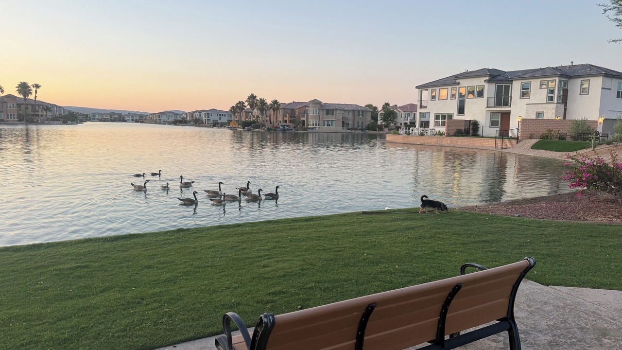 Photo of Outdoor in Terra Lago