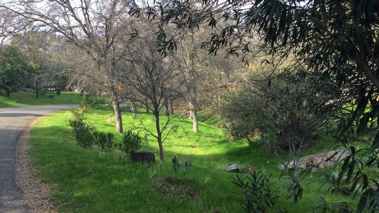 Photo of Others in Three Rivers