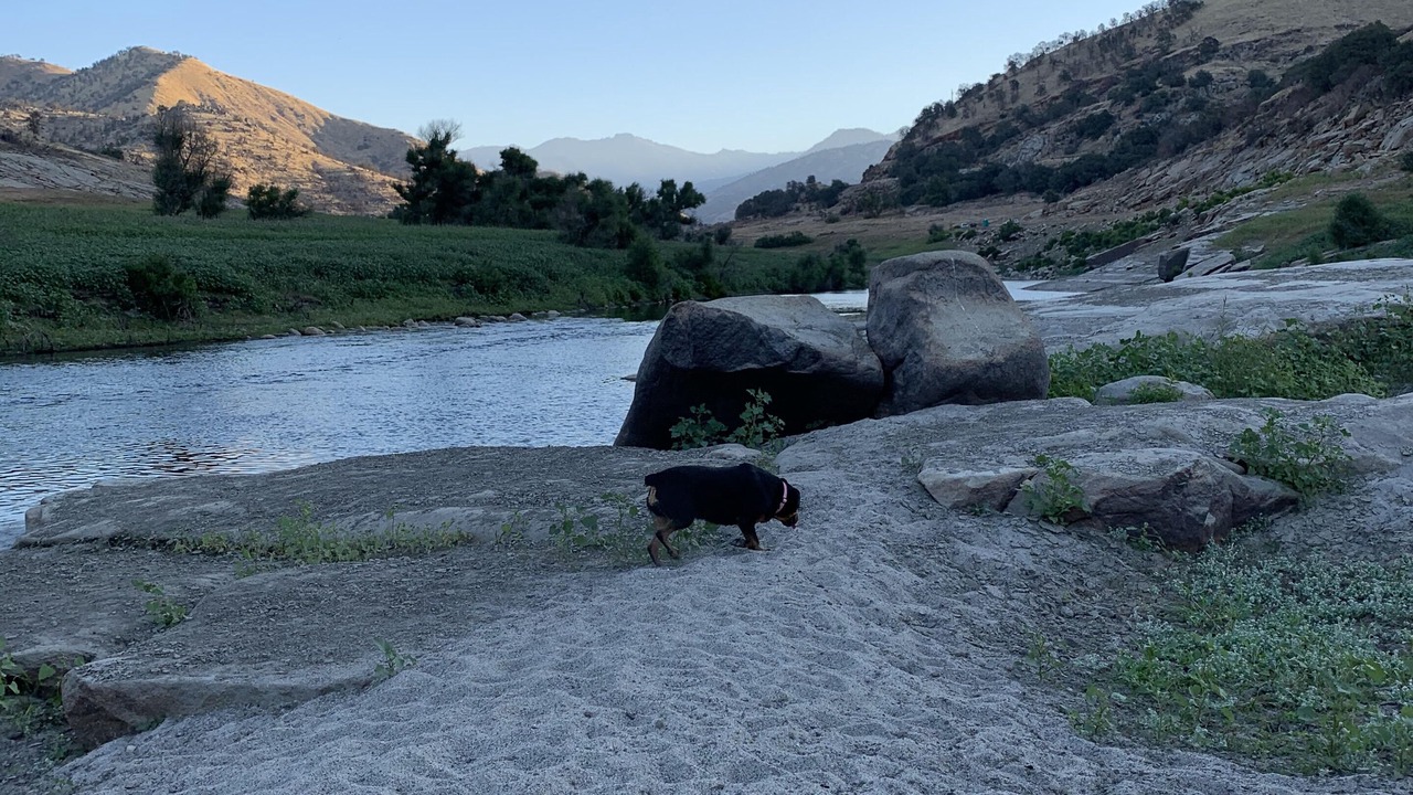 Photo of Others in Three Rivers