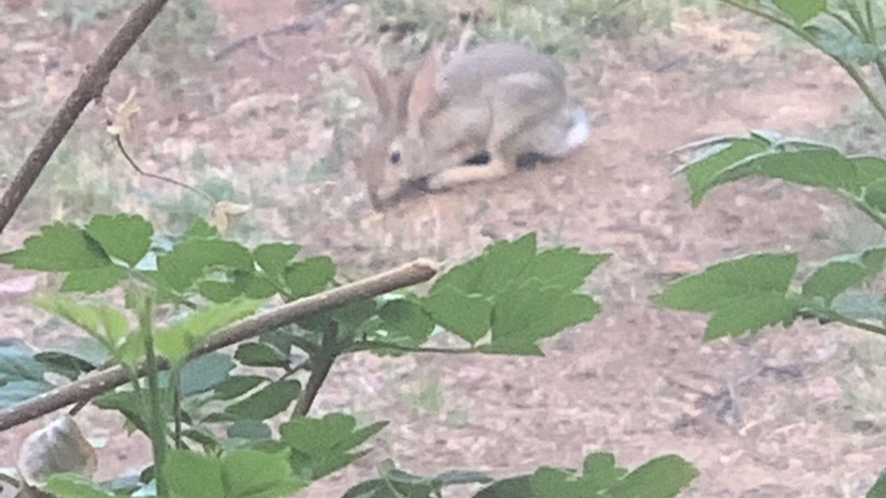 Photo of Outdoor in Three Rivers