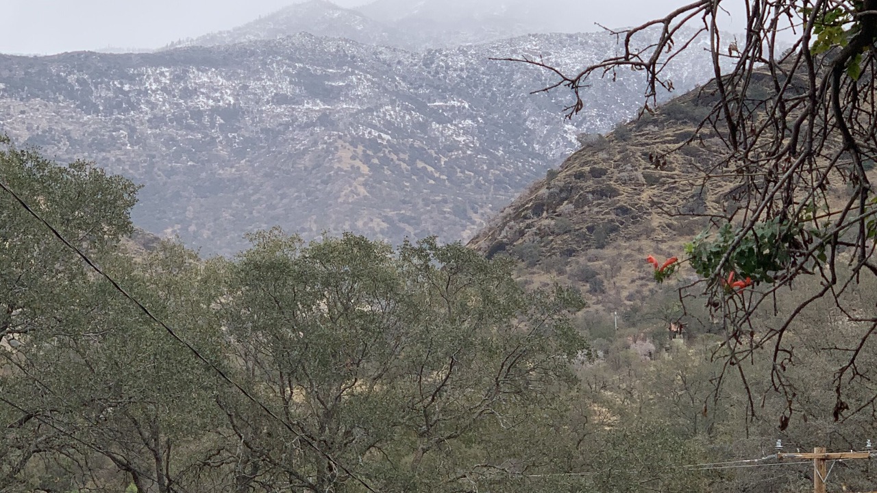 Photo of Outdoor in Three Rivers