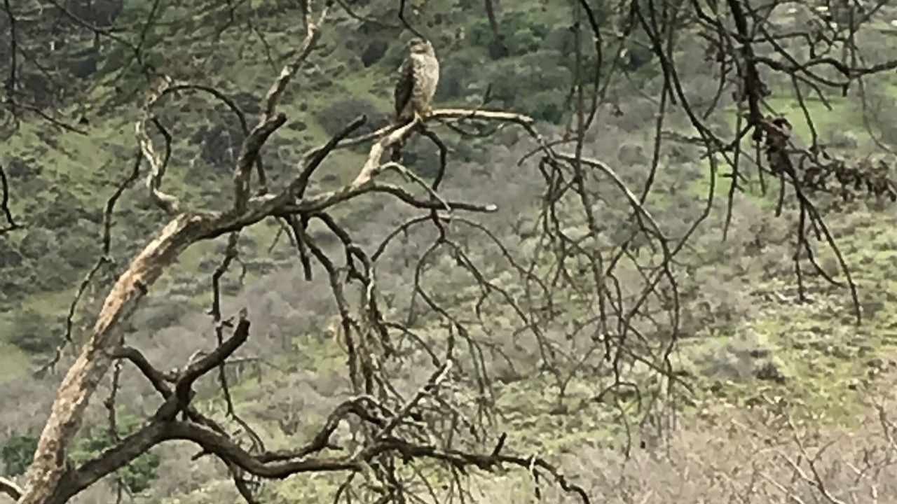 Photo of Outdoor in Three Rivers