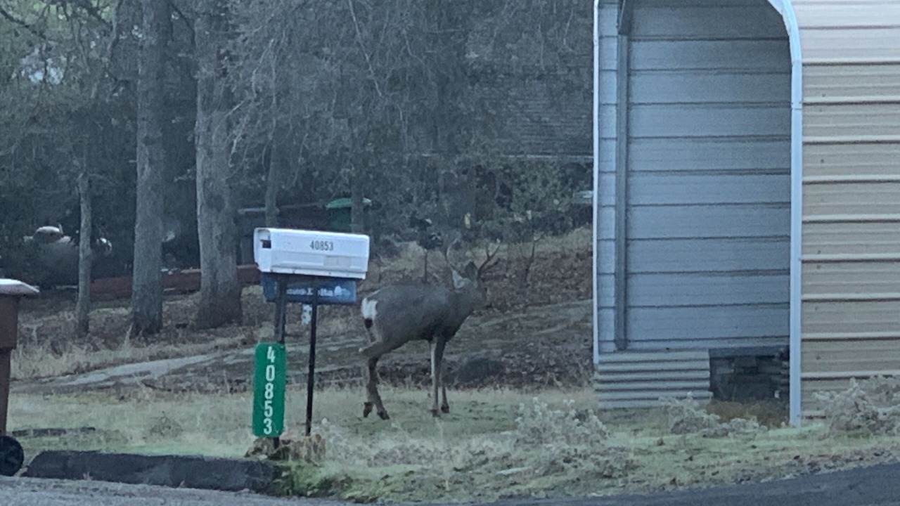 Photo of Outdoor in Three Rivers