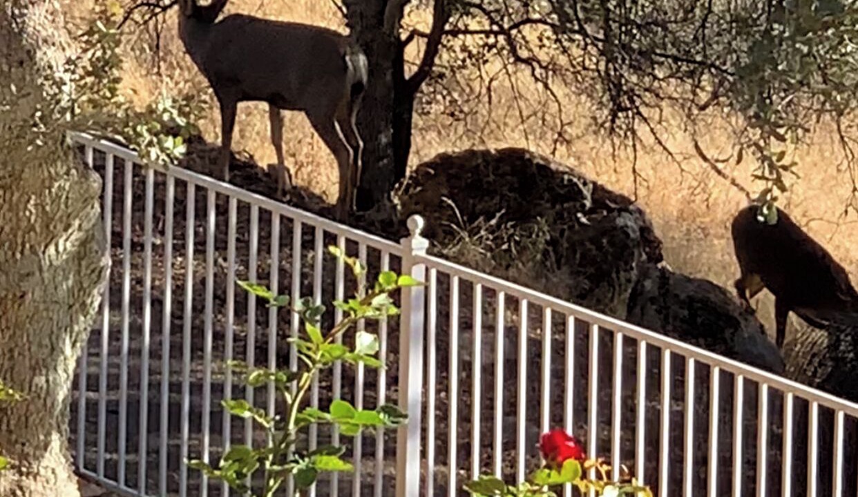 Photo of Outdoor in Three Rivers