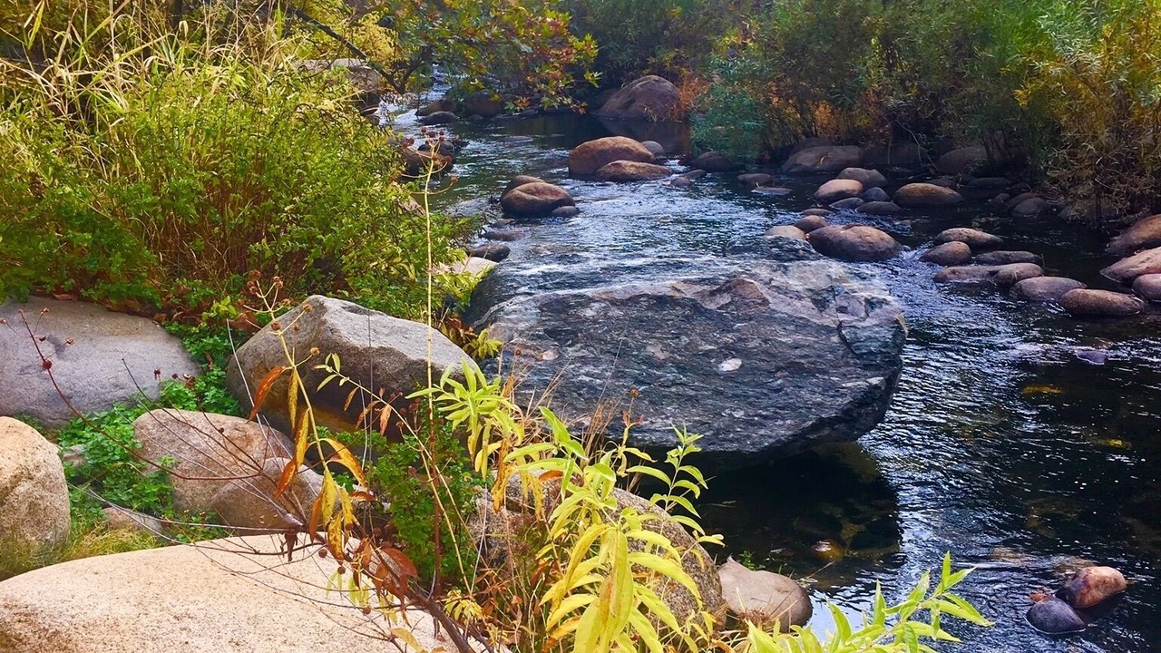 Photo of Others in Three Rivers