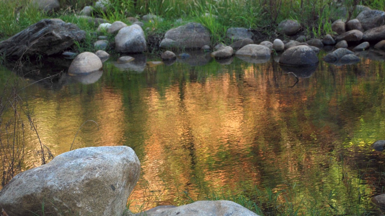 Photo of Others in Three Rivers