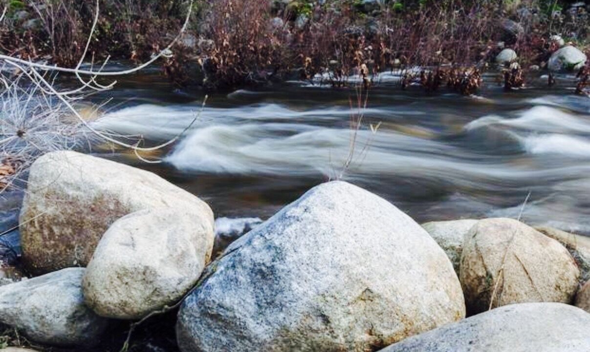 Photo of Others in Three Rivers