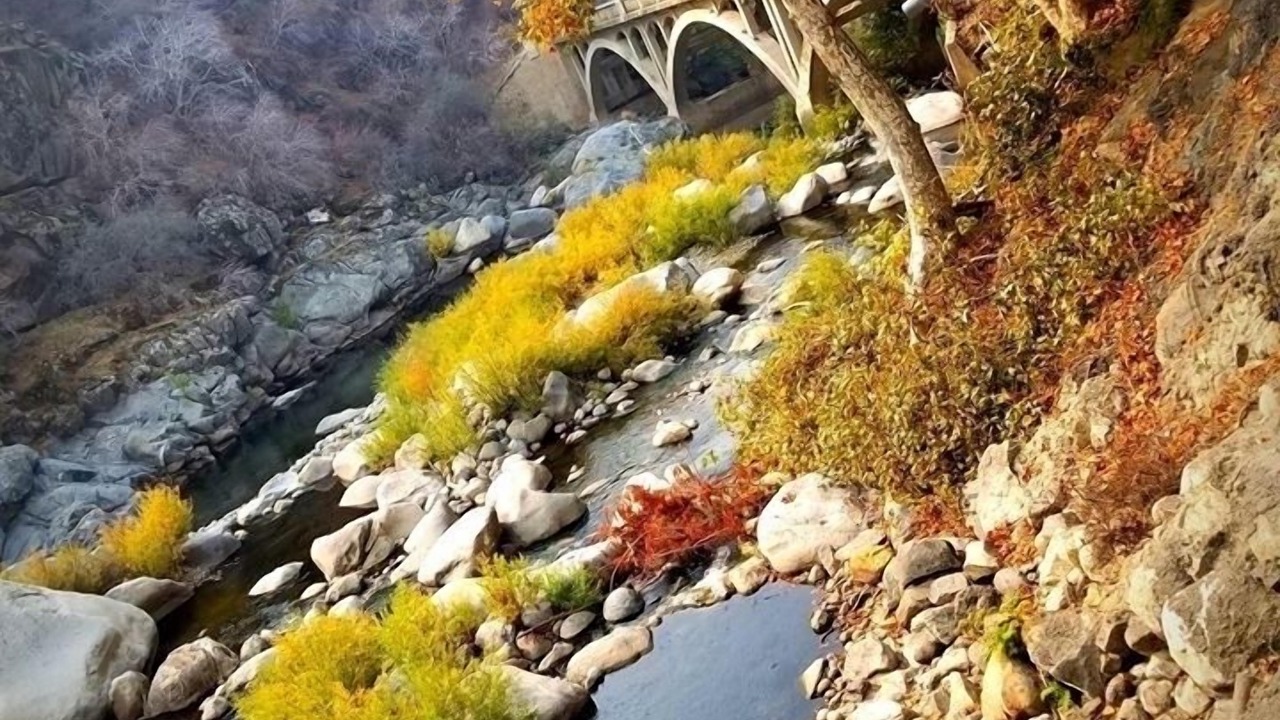 Photo of Others in Three Rivers