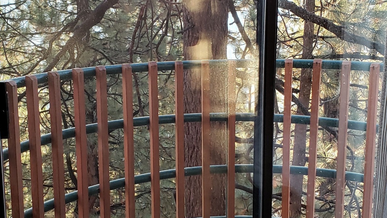 Photo of Others in Tahoe Village