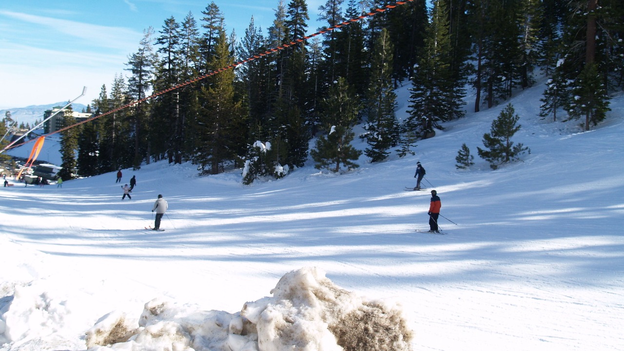 Photo of Others in Tahoe Village