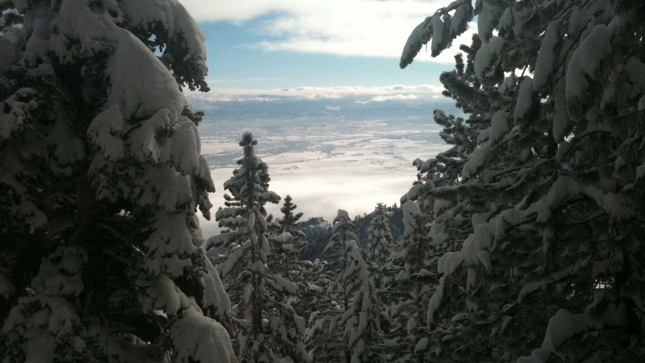Photo of Others in Tahoe Village