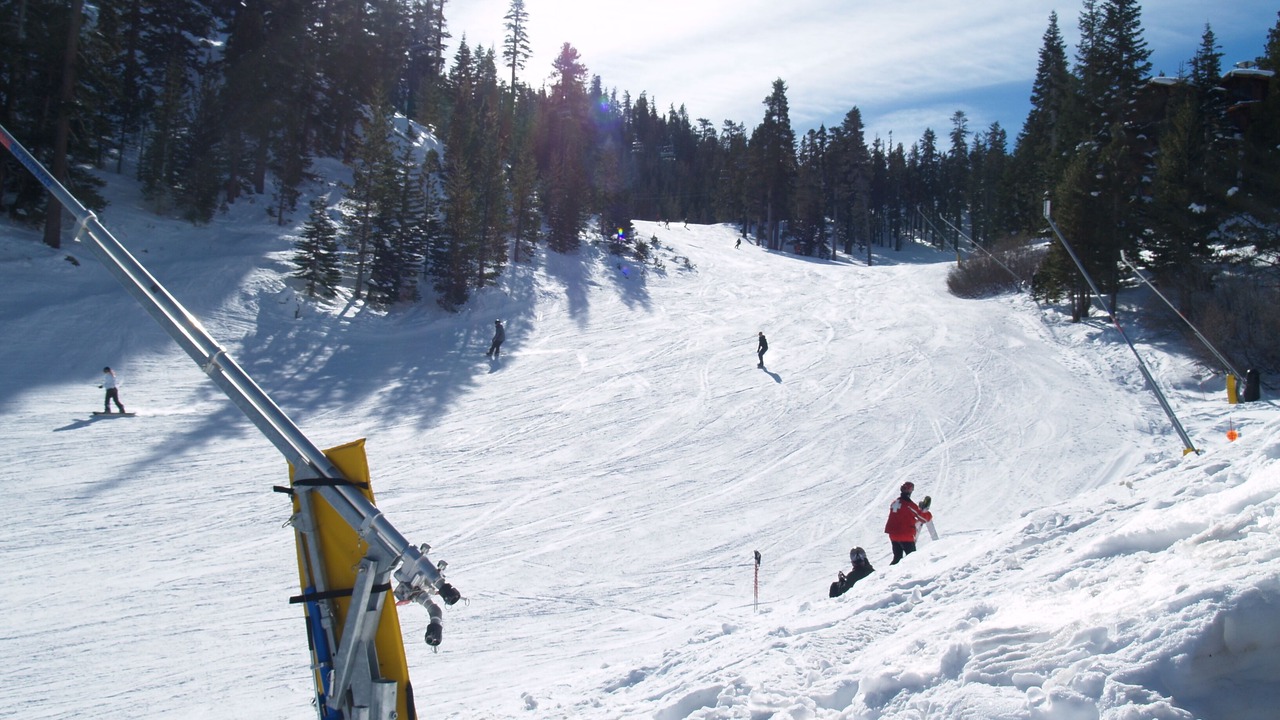 Photo of Others in Tahoe Village