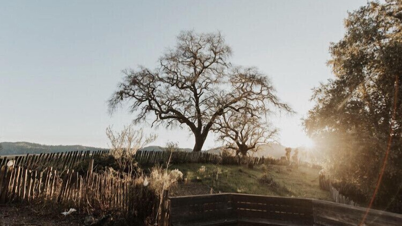 Photo of Outdoor in Cazadero