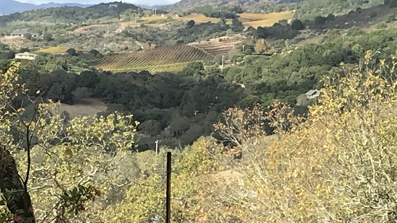 Photo of Others in Sonoma